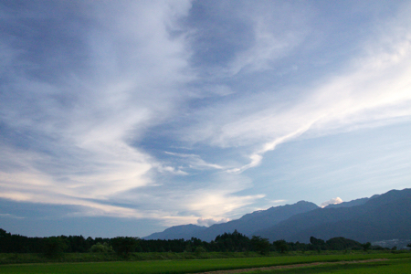 青島からの眺め